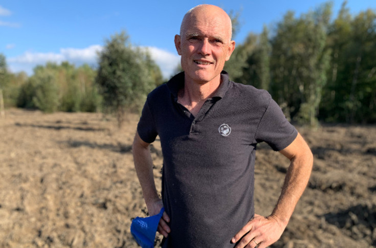 Quand une friche redevient un vignoble, avec l'arbre et la manière