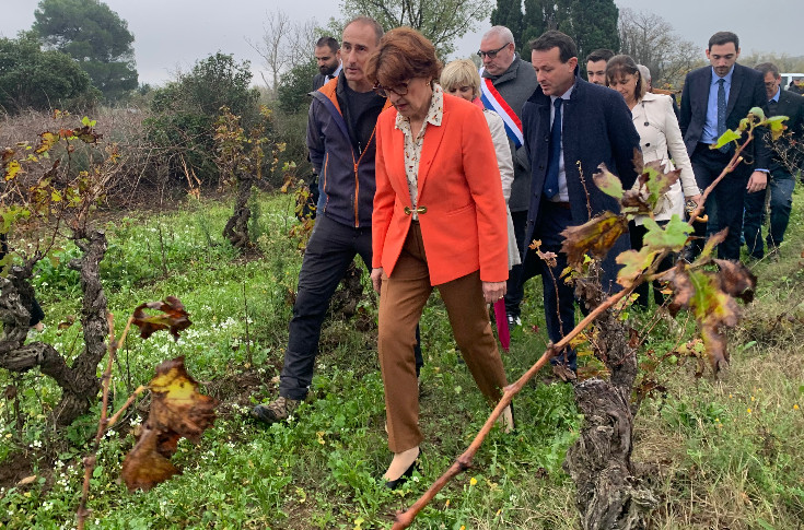 Nouvelles aides aux trésoreries vigneronnes