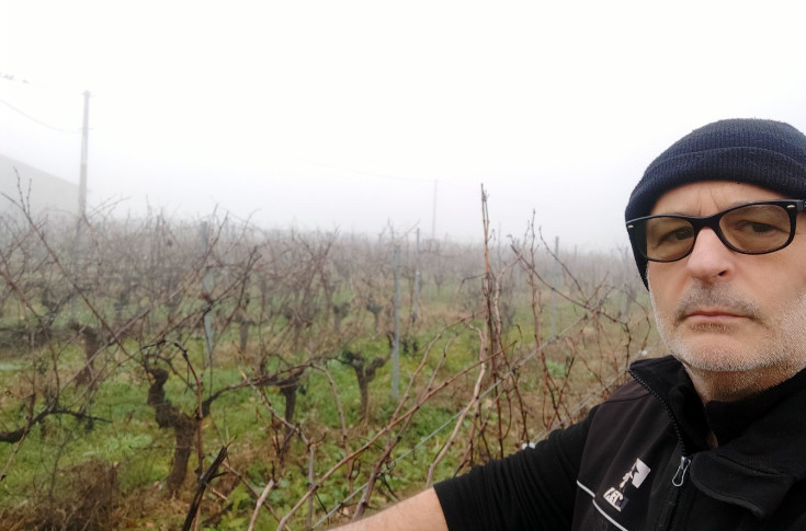 Réponses aux vignerons qui hésitent à arracher par un collègue qui y passe