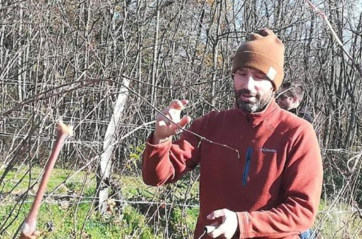 Ce vigneron perd 70 % de son rendement mais pas la foi dans la bio