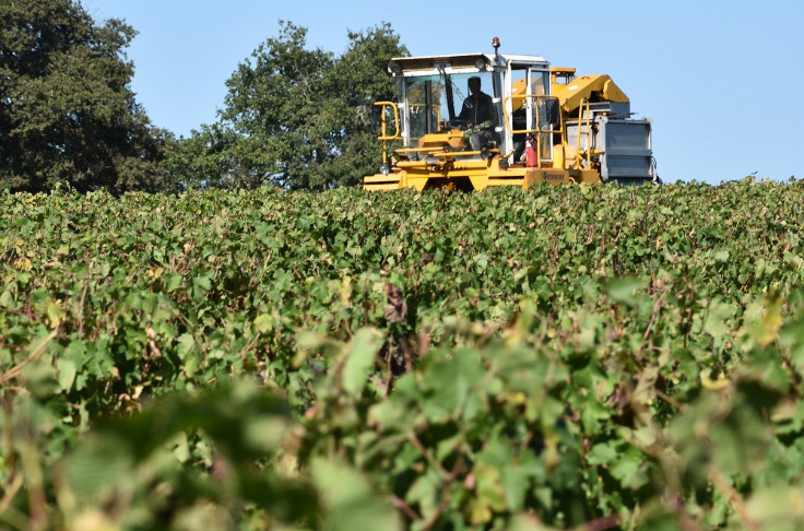 -50 % de cotisations pour les vignobles en difficulté