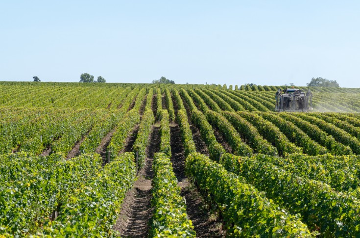 600 viticulteurs confrontent leurs pratiques phytos