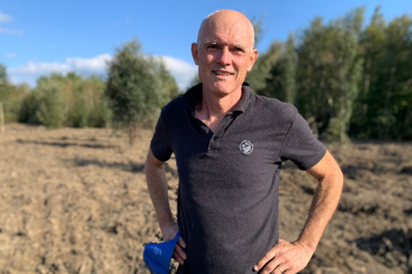 Quand une friche redevient un vignoble, avec l'arbre et la manière