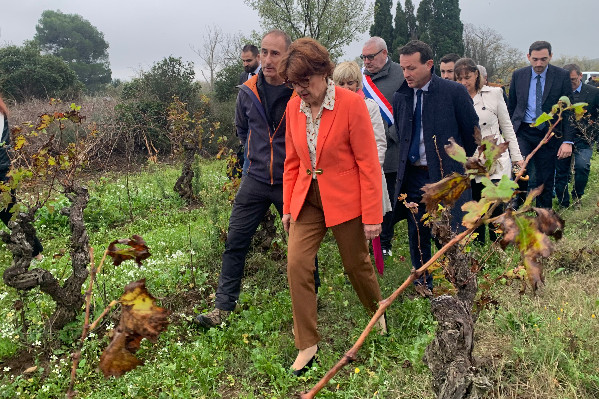 Nouvelles aides aux trésoreries vigneronnes