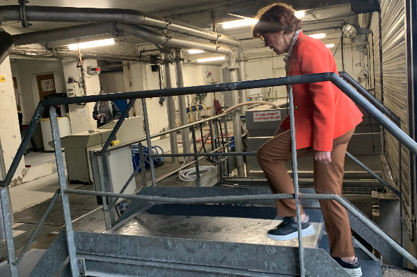 Coup de précision sur les aides aux trésoreries vigneronnes