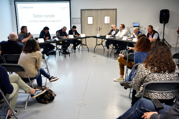 Divisés dans le fond, les syndicats agricoles unis pour un juste prix du vin