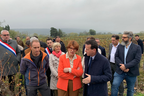 Annie Genevard n'apporte pas assez d'eau au vignoble littoral d'Occitanie