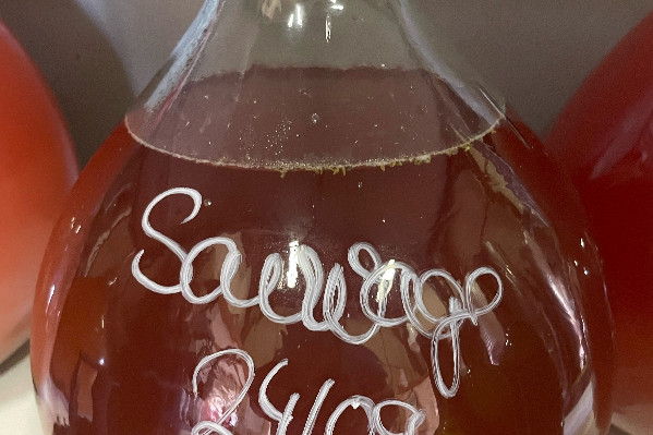 'Pourquoi l’univers du vin s’enferme-t-il dans les seuls produits à base de raisin ?'