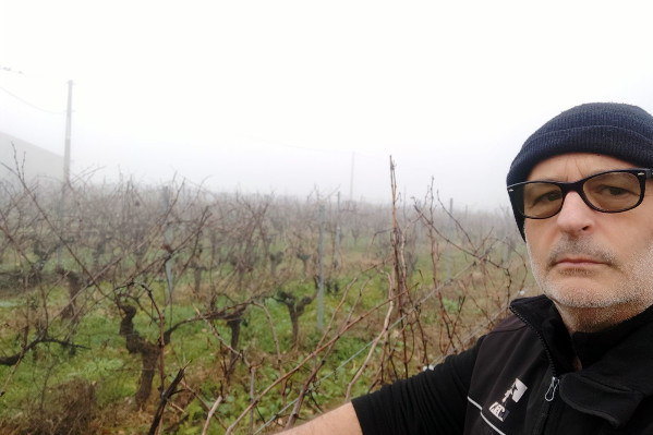 Réponses aux vignerons qui hésitent à arracher par un collègue qui y passe