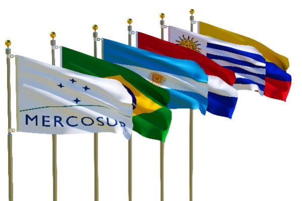 Le vin vendu gagnant du Mercosur