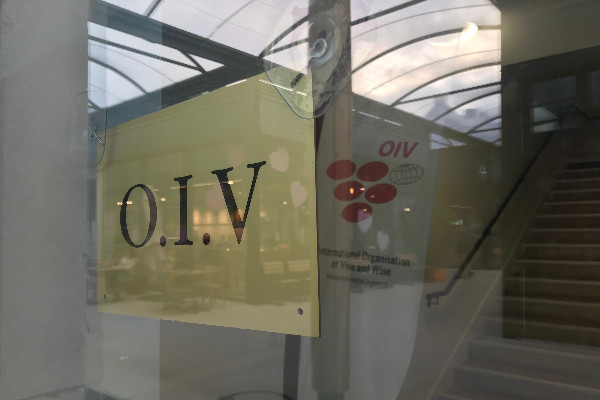 La Chine rejoint l’ONU du vin