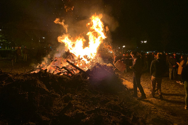 1 emploi cramé pour 2 ha de vignes arrachées