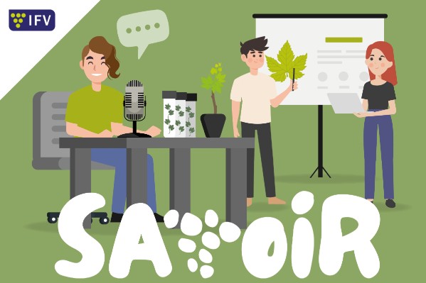 L’Institut français de la vigne et du vin s’essaye au podcast