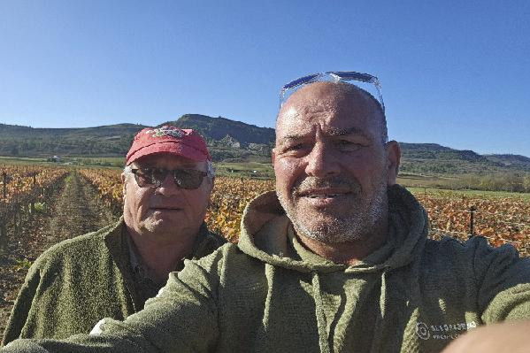 Ils arrachent définitivement car 'le vin est mal barré'