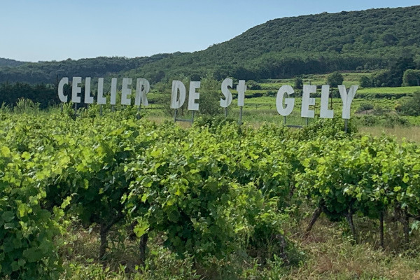 FranceAgriMer sommé de rendre 18 000 € de 'vins volés'