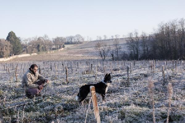 La Cuma, une bonne option pour réduire les coûts du matériel pour les vignerons qui s'installent