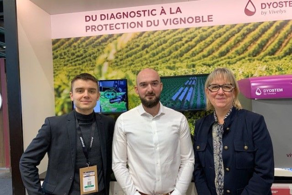 Vivelys investit dans une toile protégeant les vignes du gel, de la grêle, des pluies...