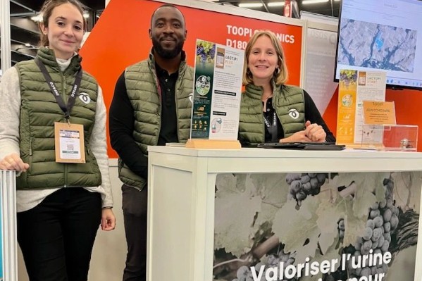 De l’urine humaine pour fertiliser la vigne