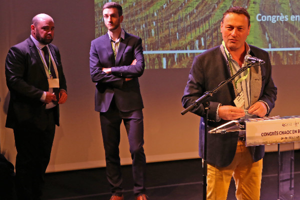 La fiscalité des vignes exonérée jusqu’à 20 millions € par l'entrain de sénateurs