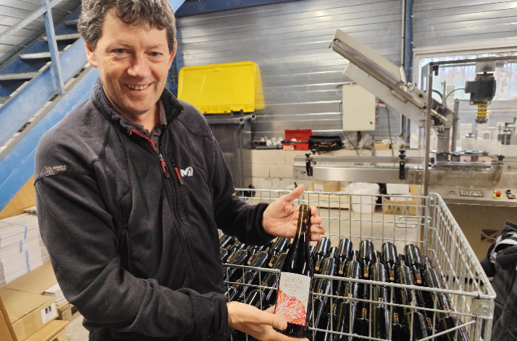 Duras grapes now blended into Gaillac primeur wines