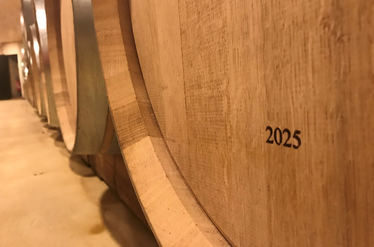 Pas d'illusion sur l'effet prix de la petite vendange 2025, qui va 