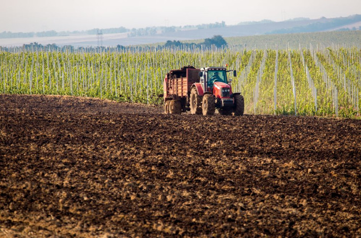 3 idées reçues sur la vie du sol et son impact sur la vigne