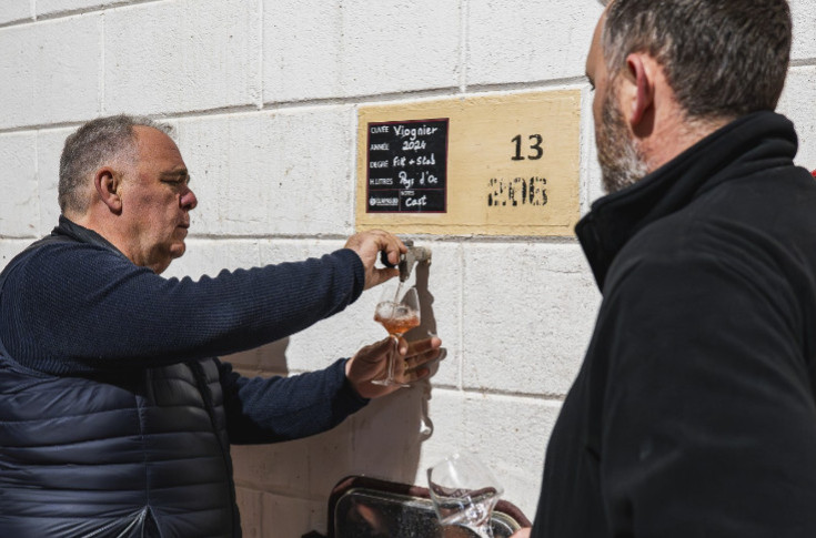 Impossible d'avoir un vin bio à moins de 127 €/hl ou en HVE sous 88 €/hl pour être à l'équilibre en IGP Pays d’Oc