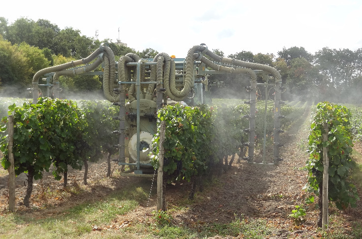 Ils font le job face au mildiou : ces stimulateurs de défenses naturelles de la vigne en programme avec des fongicides