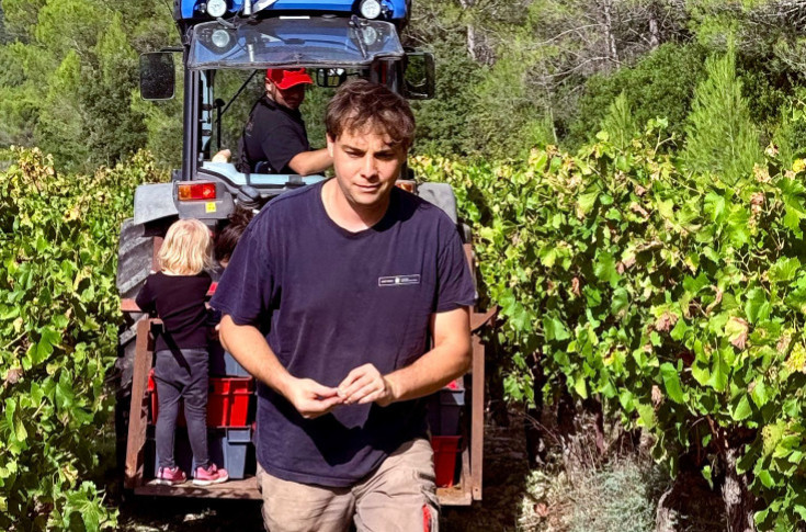 Arrachage de vignes, exportation européenne des vins... 