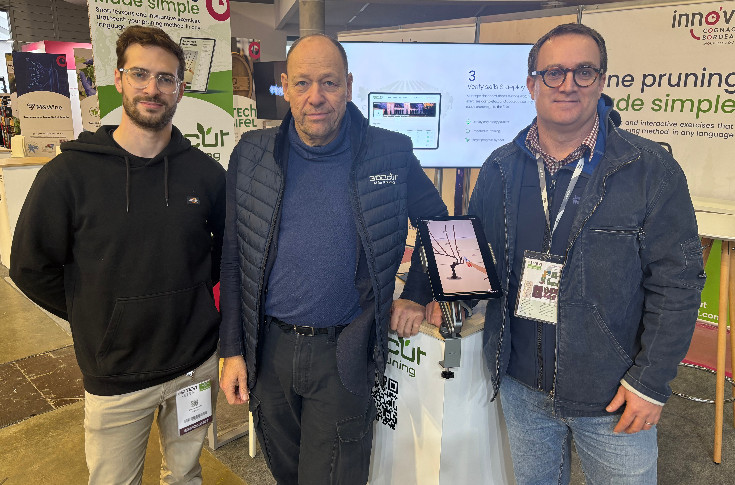 L’apprentissage de la taille de la vigne à la portée de tous : IA plus qu’à