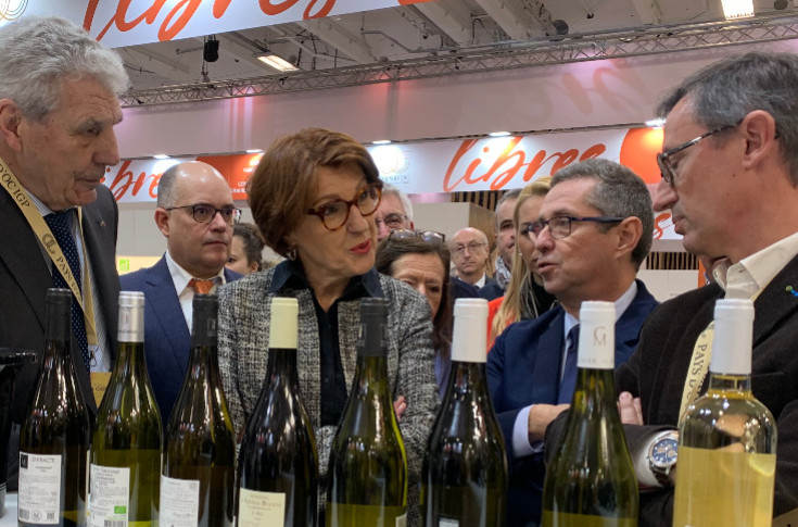Des millions pour recalibrer le vignoble français et revaloriser ses vins: 