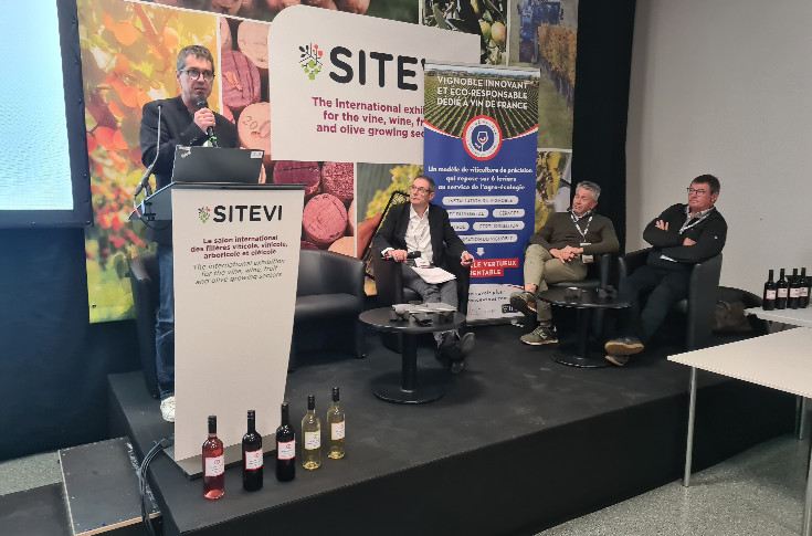 5 pratiques simples, mais décisives, pour produire des Vins de France rentables