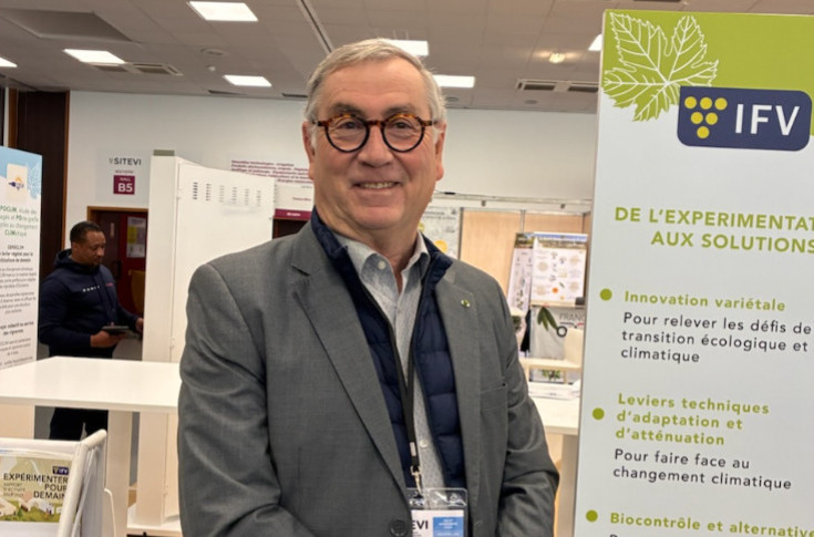 Le vignoble privé des 