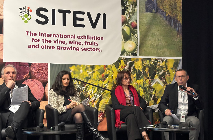 Encore un espoir pour la marque Sud de France sur les étiquettes de vins ?