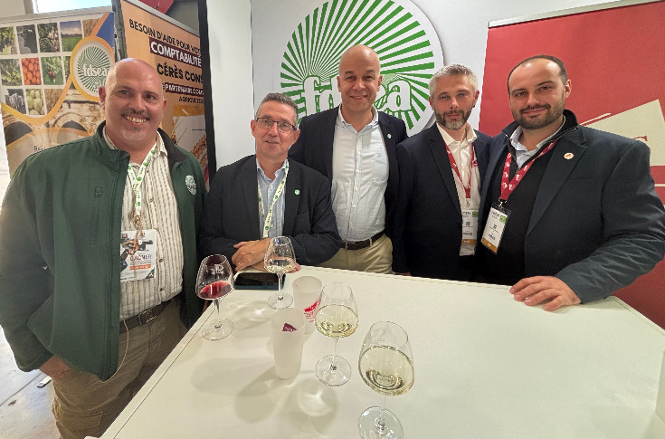 Ultimatum à l’arrachage du vignoble : 