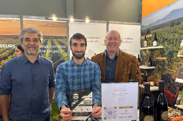 Réussir son installation dans le vignoble : 