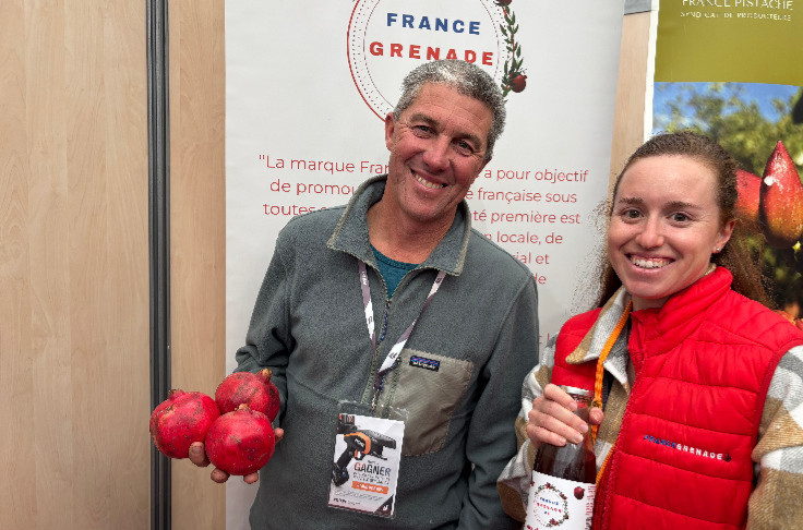 La grenade en piste de diversification d'intérêt pour la viticulture méridionale