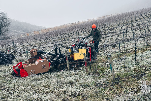 Ce vigneron teste l’année sans tracteur et finit par acheter un enjambeur : 