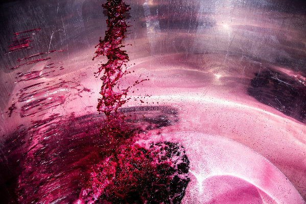 La vendange française stabilisée au niveau plancher de 36,2 millions hl en 2025