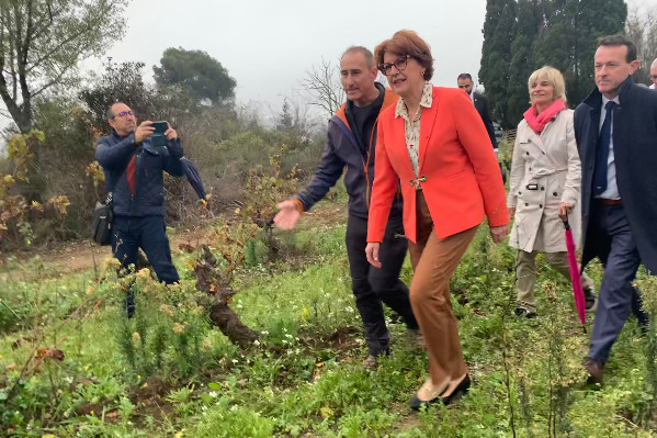 Des Assises de la viticulture dans les Conférences de la souveraineté d’Annie Genevard