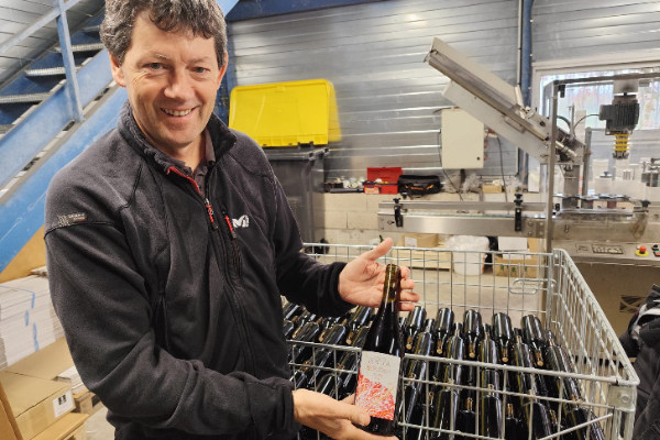 Duras grapes now blended into Gaillac primeur wines