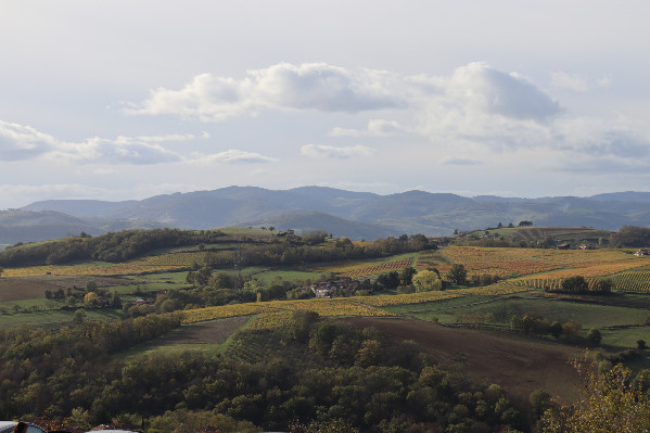 'Quand le négoce a besoin de vin, le millésime est bon, et quand il en a assez, il n'est pas bon.'