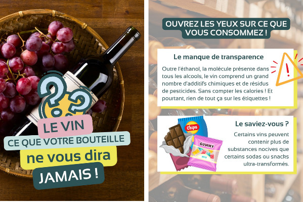 Addictions France, le lobby antivin qui coûte 120 millions et coule sans modération : 'une croisade dogmatique'