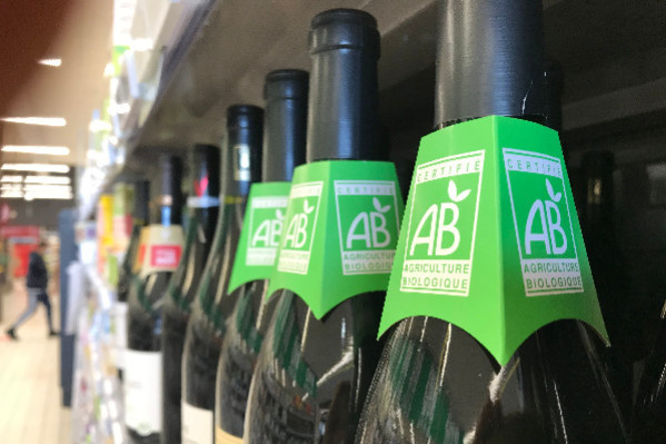 Les vins bio divisent les consommateurs sur le goût et le prix, pas sur son impact environnemental