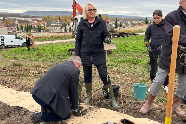 Moët & Chandon plante 80 kms de haies : 'la biodiversité est un catalyseur d’énergie collective'