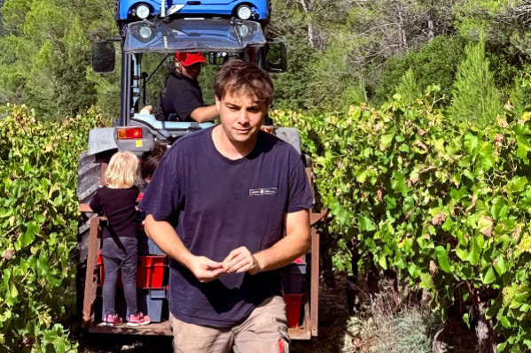 Arrachage de vignes, exportation européenne des vins... 'Ce qui compte, c’est que des outils existent pour répondre aux situations de crise'