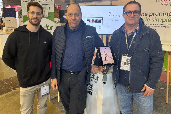 L’apprentissage de la taille de la vigne à la portée de tous : IA plus qu’à