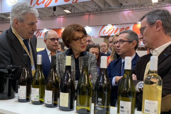 Des millions pour recalibrer le vignoble français et revaloriser ses vins: 
