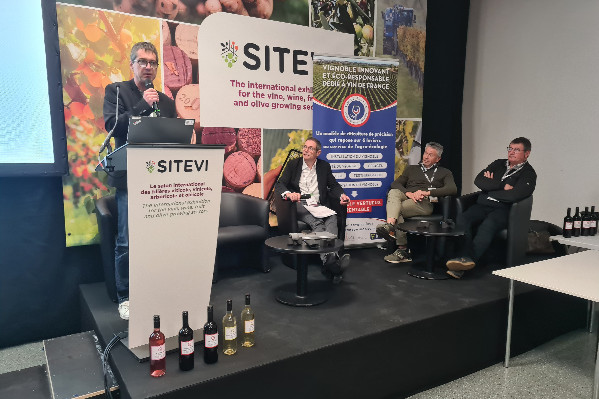 5 pratiques simples, mais décisives, pour produire des Vins de France rentables