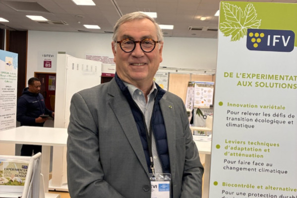 Le vignoble privé des 'cuivres permettant de finir la saison à moindre coût'